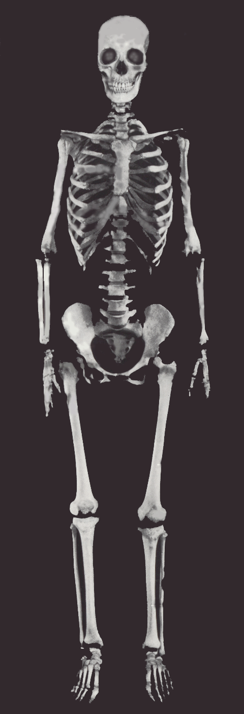 img21.gif