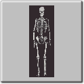 img21.gif
