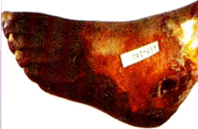 img24.gif