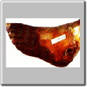 img24.gif