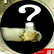 img32.gif