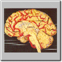 img41.gif