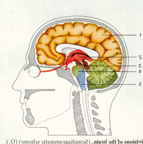 img42.gif