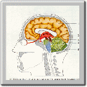 img42.gif