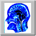 img43.gif