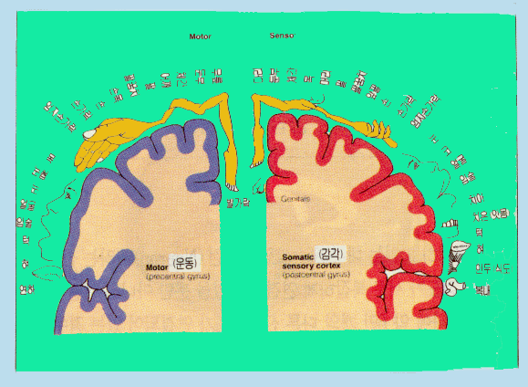 img44.gif