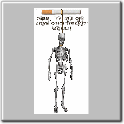 img59.gif
