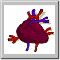 img60.gif