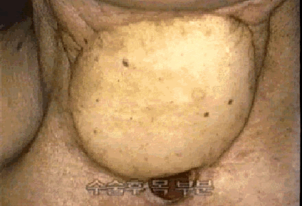 img63.gif