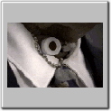 img64.gif