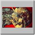 img65.gif