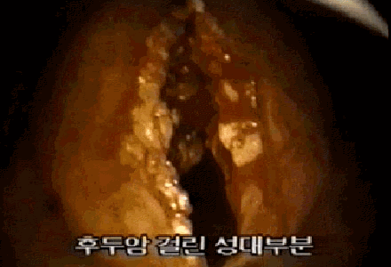 img66.gif