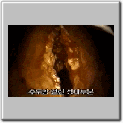 img66.gif