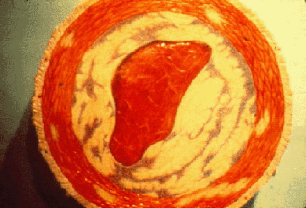 img67.gif