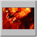 img68.gif