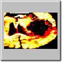 img69.gif
