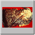 img70.gif