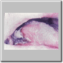 img73.gif