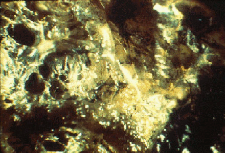 img76.gif
