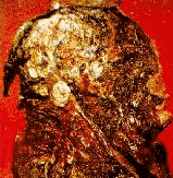 img78.gif