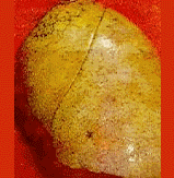 img79.gif