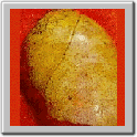 img79.gif