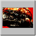 img80.gif