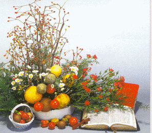 img3.gif