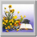 flow01.jpg