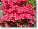 DSC00029.jpg