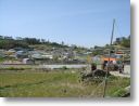 DSC00034.jpg