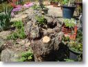 DSC00035.jpg