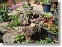 DSC00036.jpg