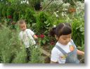 DSC01117.jpg