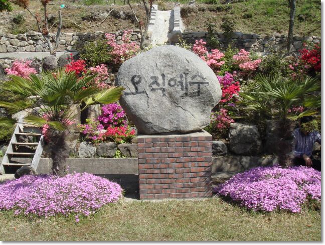 cil3.jpg