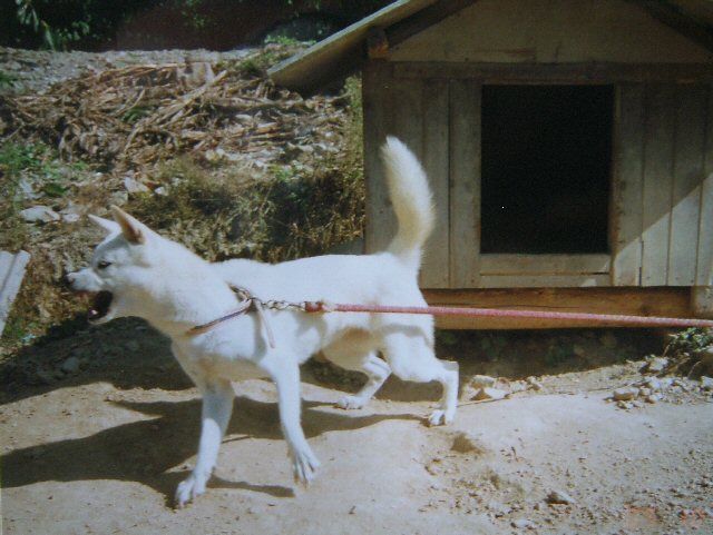 07.jpg