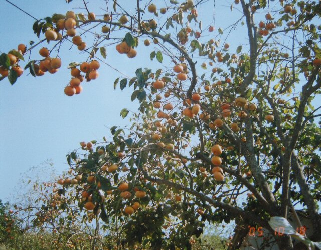 08.jpg