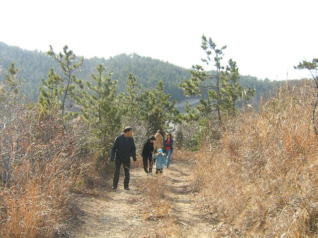 DCAM2104.JPG