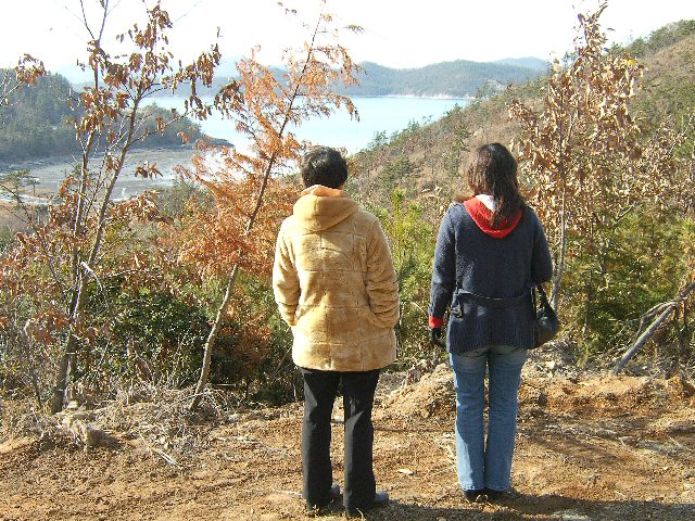 DCAM2110.JPG