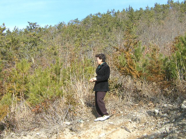 DCAM2115.JPG