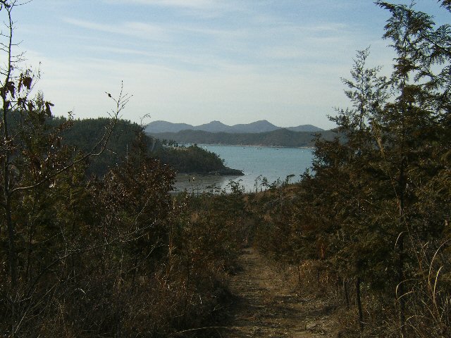 DCAM2123.JPG