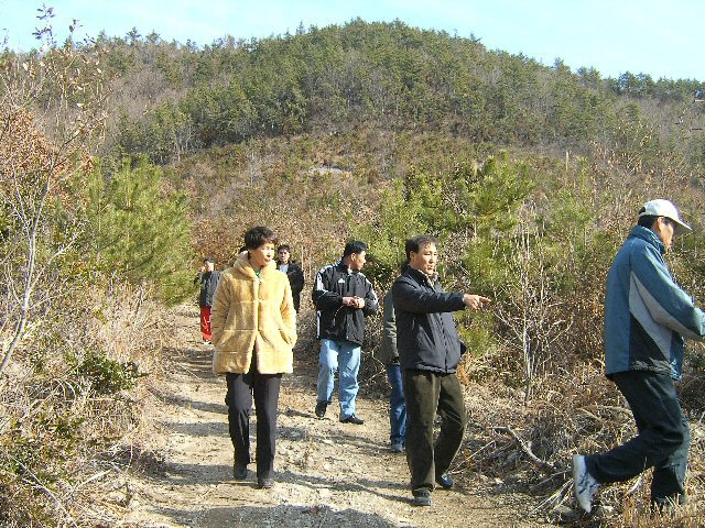 DCAM2126.JPG