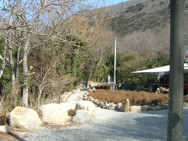 DCAM2167.JPG