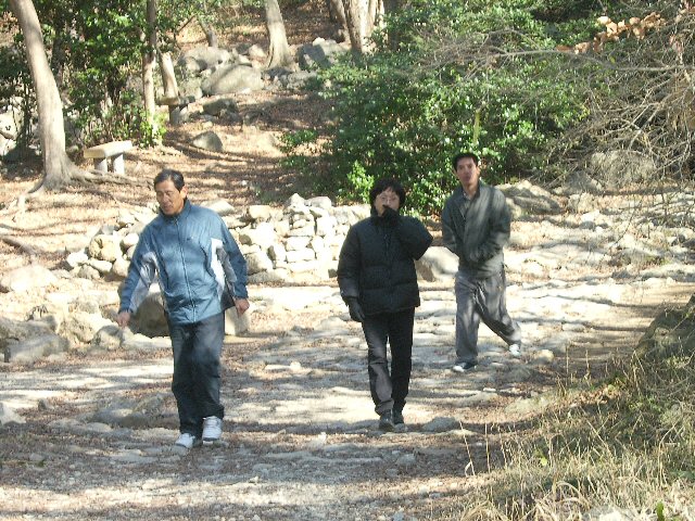DCAM2174.JPG