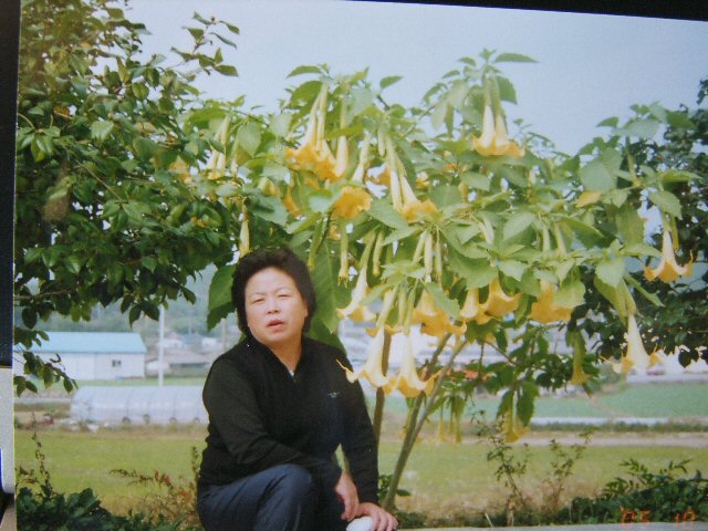 DCAM2188.JPG