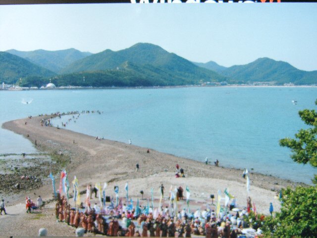 DCAM2205.JPG