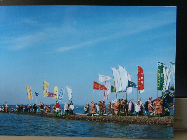 DCAM2210.JPG
