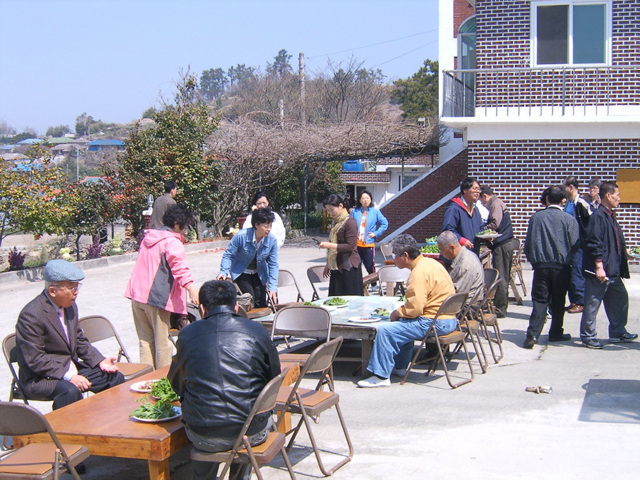 DCAM5081.jpg