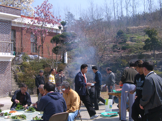 DCAM5091.jpg