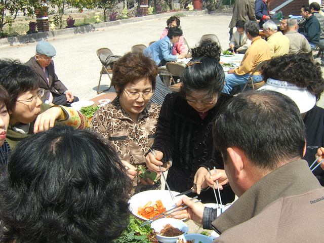 DCAM5103.jpg